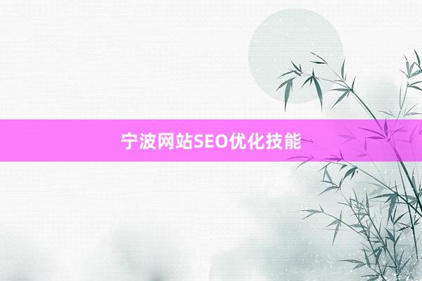宁波网站SEO优化技能