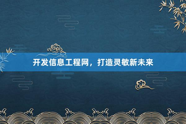 开发信息工程网，打造灵敏新未来