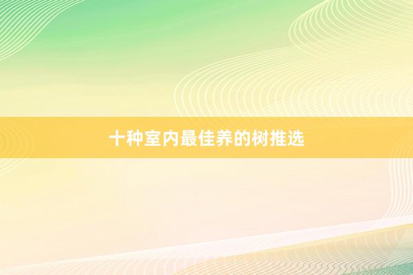十种室内最佳养的树推选