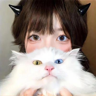大灰熊2