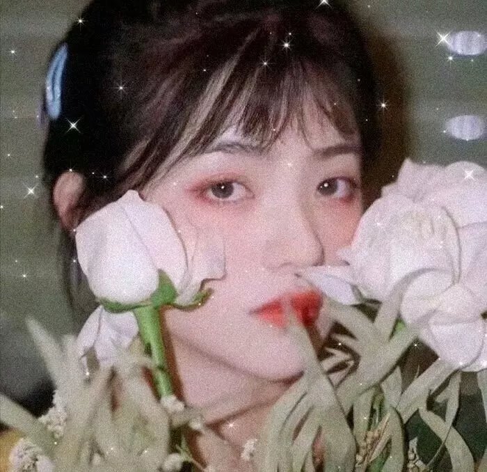 马莲花开